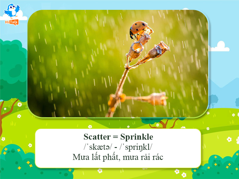 Các mức độ mưa trong Tiếng Anh - Sprinkle